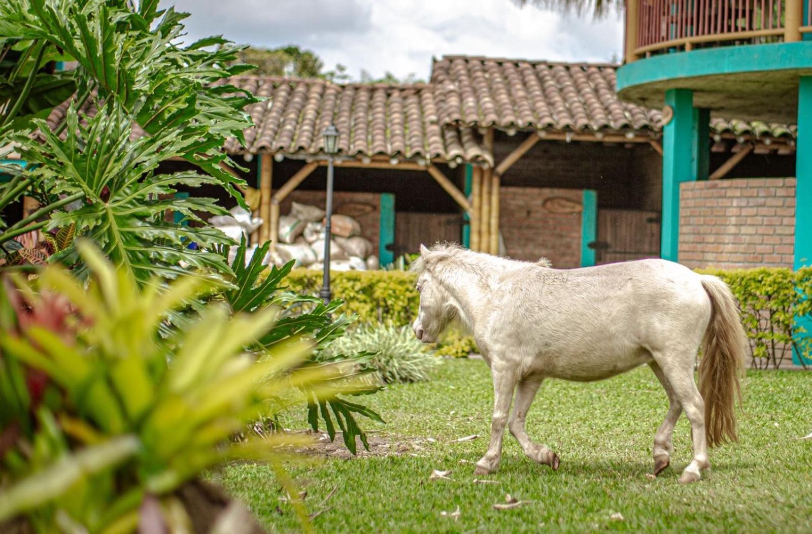 Finca Hotel El Diamante Calarcá Eksteriør bilde
